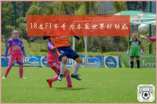 18名F1车手为本国世界杯助威