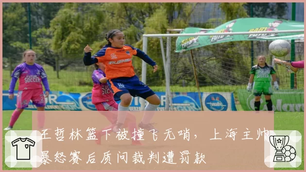 王哲林篮下被撞飞无哨，上海主帅暴怒赛后质问裁判遭罚款