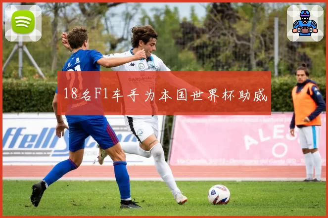 18名F1车手为本国世界杯助威