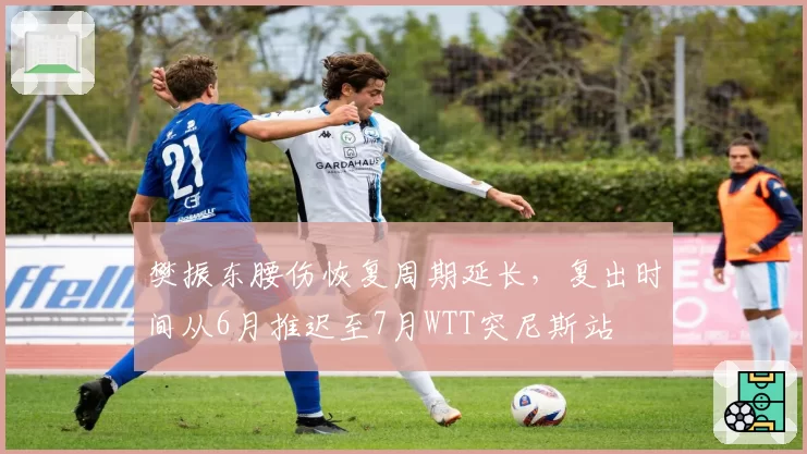 樊振东腰伤恢复周期延长,复出时间从6月推迟至7月WTT突尼斯站